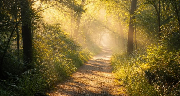 What Happens When We Die? Exploring Spiritualism and Beyond - Latest updates
